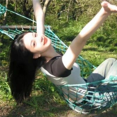 铁胆神枪